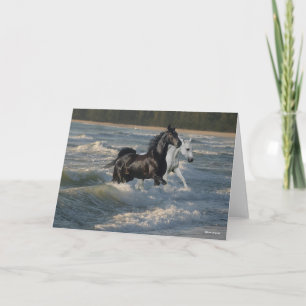 Bob Langrish   Two Arab Horses Walking In The Sea Card