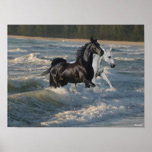 Bob Langrish   Two Arab Horses Walking In The Sea Poster