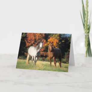 Bob Langrish Two Arabs Standing Together in Field Card