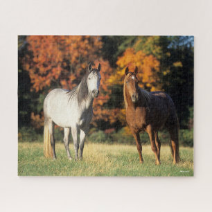 Bob Langrish Two Arabs Standing Together in Field Jigsaw Puzzle