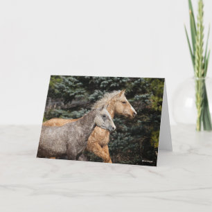 Bob Langrish   Two Bashkir Curly Horses Headshot Card