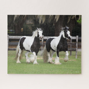 Bob Langrish Two Black and White Gypsy Vanners Jigsaw Puzzle