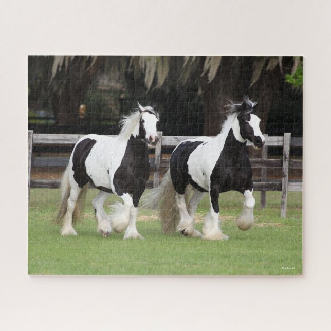 Bob Langrish | Two Black and White Gypsy Vanners Jigsaw Puzzle (Horizontal)