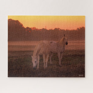 Bob Langrish Two Grey Arab Horses Standing Jigsaw Puzzle