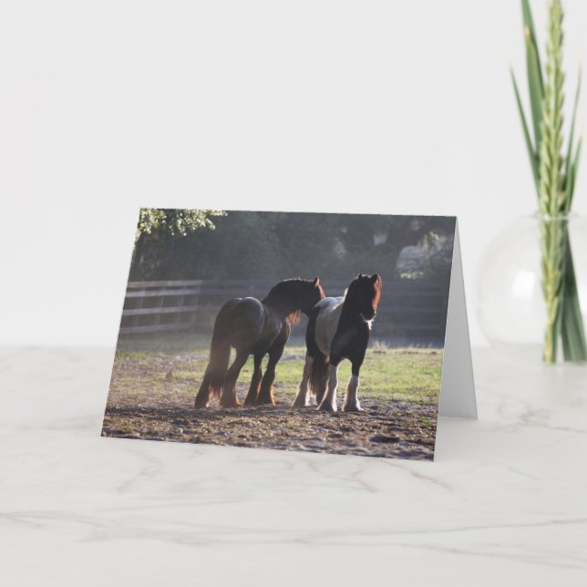 Bob Langrish | Two Gypsy Vanners In Field Backlit Card (Front)