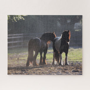Bob Langrish   Two Gypsy Vanners In Field Backlit Jigsaw Puzzle
