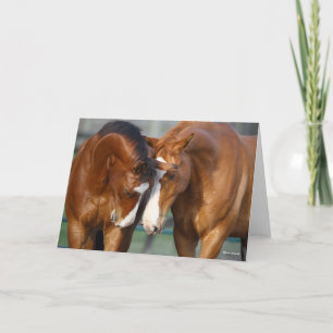 Bob Langrish   Two Horses Heads Together Card