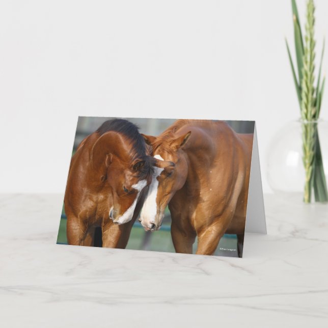 Bob Langrish | Two Horses Heads Together Card (Front)