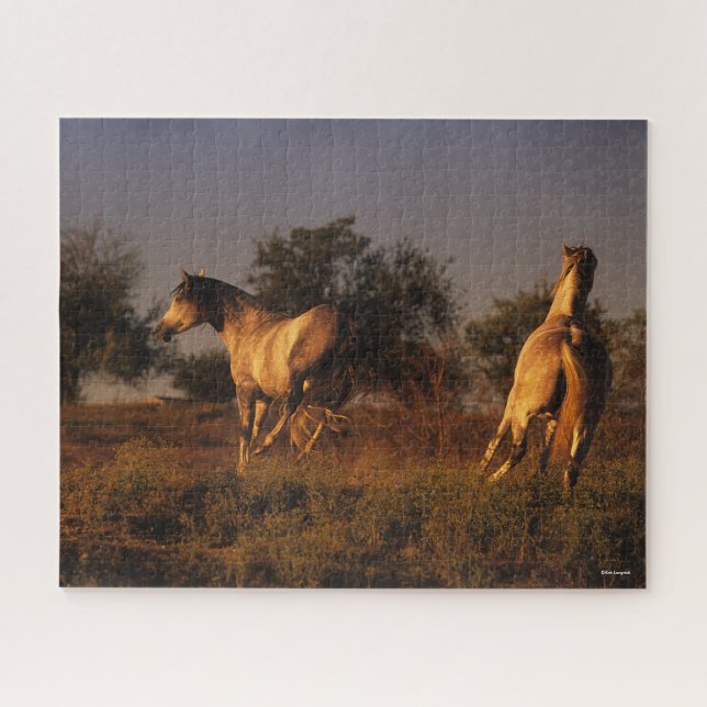 Bob Langrish | Two Horses Running In Sunset Jigsaw Puzzle (Horizontal)
