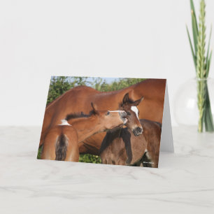 Bob Langrish   Two Irish Sport Horse Foals Playing Card