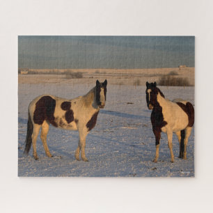 Bob Langrish Two Paint Horses In The Snow Jigsaw Puzzle