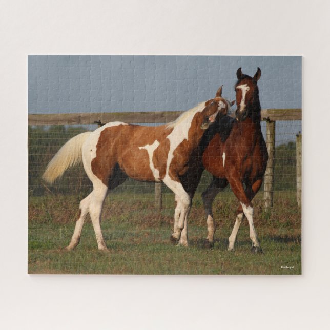 Bob Langrish | Two Paint Horses Playing Together Jigsaw Puzzle (Horizontal)