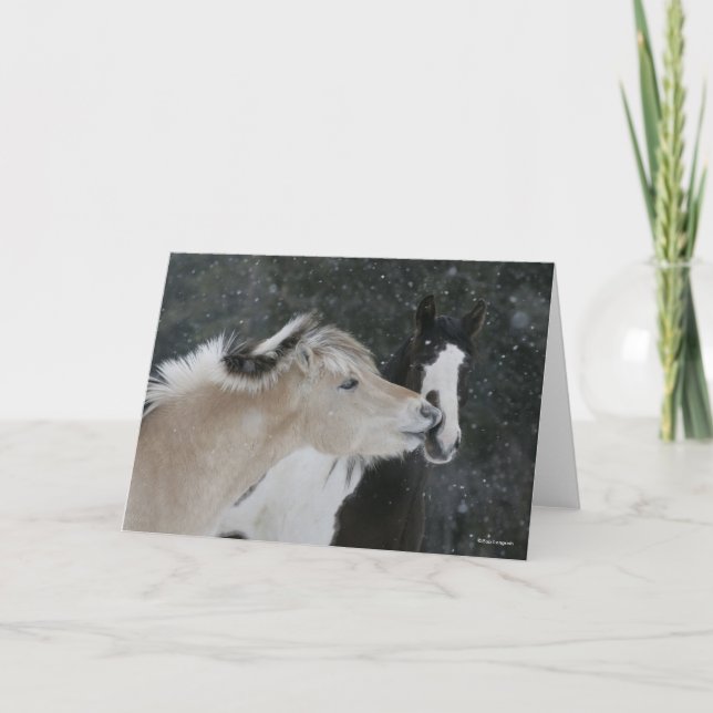 Bob Langrish | Two Ponies Meeting In Snow headshot Card (Front)