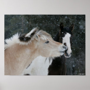 Bob Langrish   Two Ponies Meeting In Snow headshot Poster