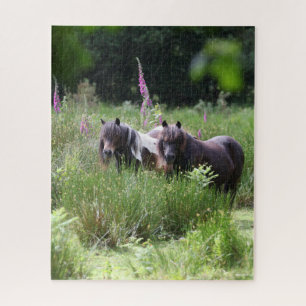 Bob Langrish Two Shetland Ponies Standing Together Jigsaw Puzzle