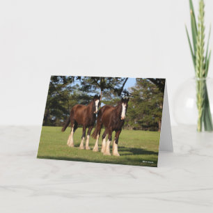 Bob Langrish   Two Shire Horse Youngsters Standing Card