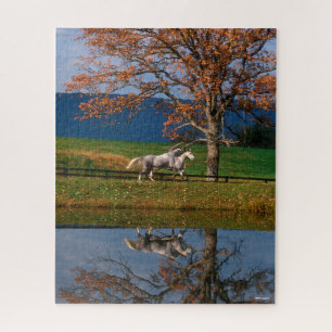 Bob Langrish Two Together Warmbloods By Lake Jigsaw Puzzle