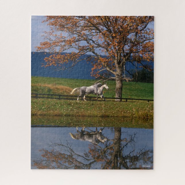 Bob Langrish | Two Together Warmbloods By Lake Jigsaw Puzzle (Vertical)