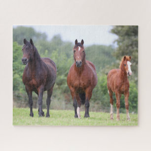 Bob Langrish Two Welsh Ponies Standing With Foal Jigsaw Puzzle