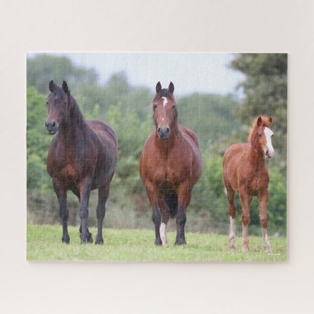 Bob Langrish | Two Welsh Ponies Standing With Foal Jigsaw Puzzle (Horizontal)