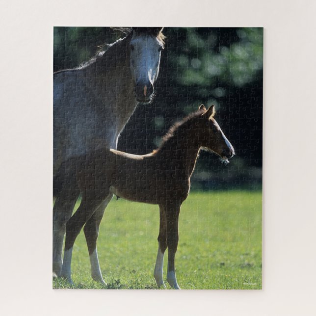 Bob Langrish | Warmblood Mare and Foal Backlit Jigsaw Puzzle (Vertical)