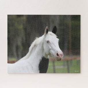 Bob Langrish   Warmblood Pinto Horse Headshot Jigsaw Puzzle