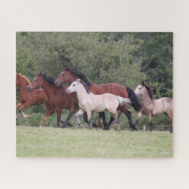 Bob Langrish Welsh Ponies Running Mares and Foals Jigsaw Puzzle (Horizontal)
