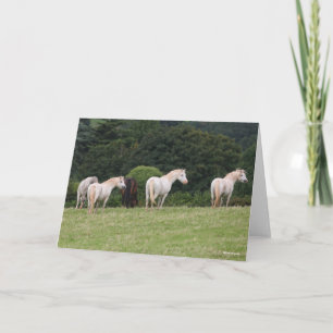 Bob Langrish   Welsh  Ponies Standing In Field Card