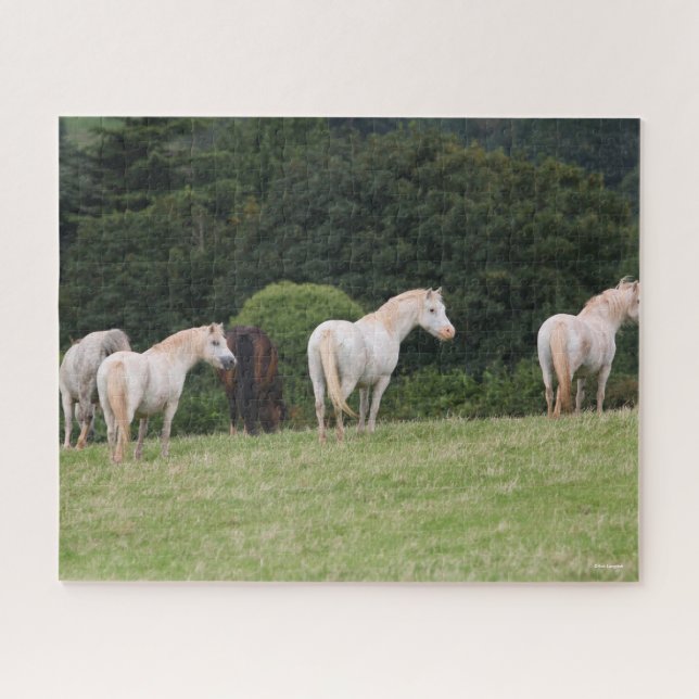 Bob Langrish | Welsh  Ponies Standing In Field Jigsaw Puzzle (Horizontal)