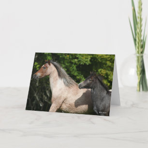 Bob Langrish   Welsh Pony Mare and Foal Headshot Card