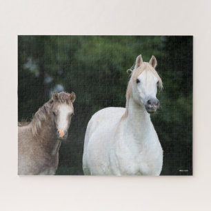 Bob Langrish Welsh Pony Mare and Foal Jigsaw Puzzle