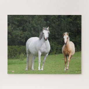 Bob Langrish Welsh Pony Mare and Foal Jigsaw Puzzle