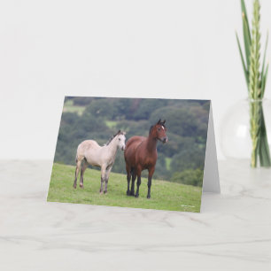 Bob Langrish   Welsh Pony Mare and Foal Standing Card