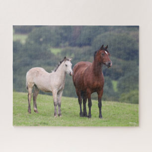 Bob Langrish Welsh Pony Mare and Foal Standing Jigsaw Puzzle