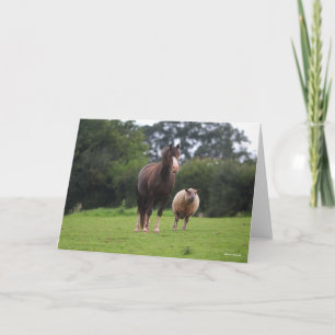 Bob Langrish   Welsh Pony Mare Standing With Sheep Card
