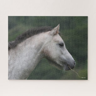 Bob Langrish Welsh Section A Pony Headshot Jigsaw Puzzle