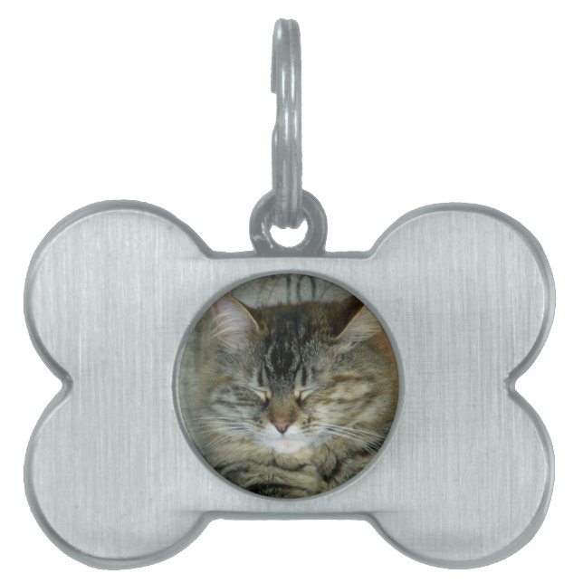 Bob Pet ID Tag (Front)