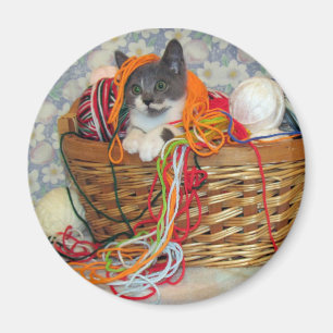 Bob Spinn'in a Yarn Magnet