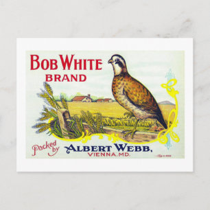 "Bob White Pumpkin Brand Canning Label" Card