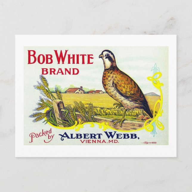 "Bob White Pumpkin Brand Canning Label" Card (Front)