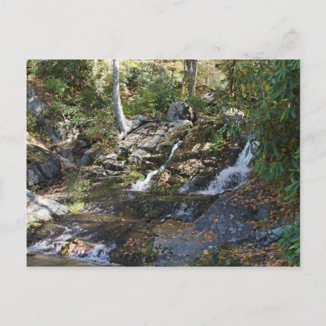 Bobby McLean Memorial Park #5, Newland, NC Postcard (Front)