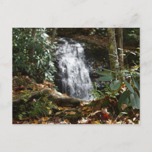 Bobby McLean Memorial Park, Newland, NC #3 Postcard
