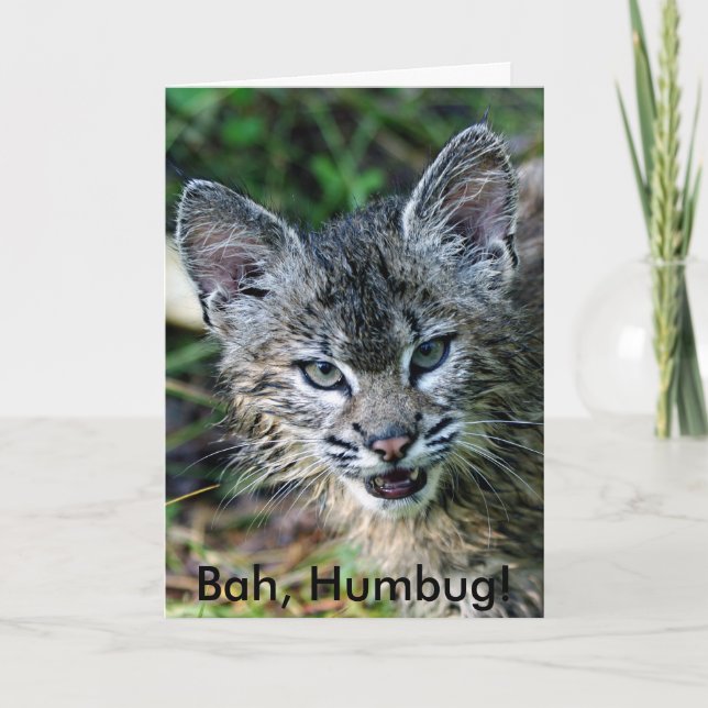 BobCat, Bah, Humbug! Holiday Card (Front)
