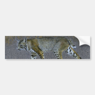Bobcat Bumper Sticker