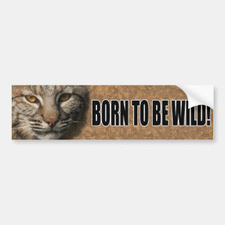 Bobcat Bumper Sticker - Born to be wild!