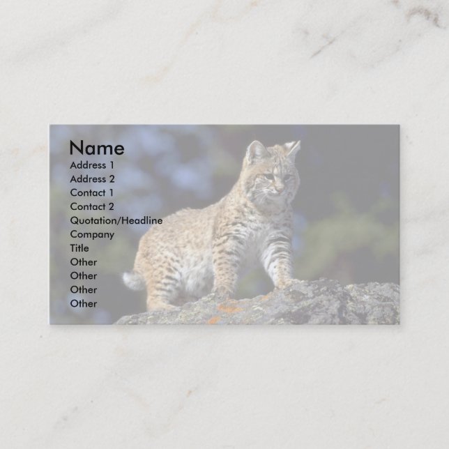 Bobcat Business Card (Front)