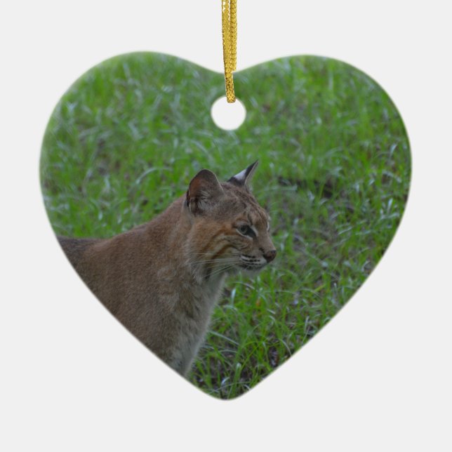 Bobcat Ceramic Ornament (Front)