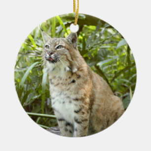 Bobcat Christmas Ornament