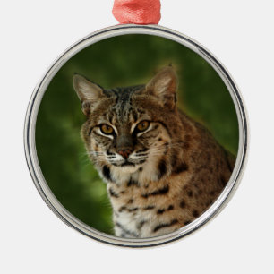Bobcat Christmas Ornament