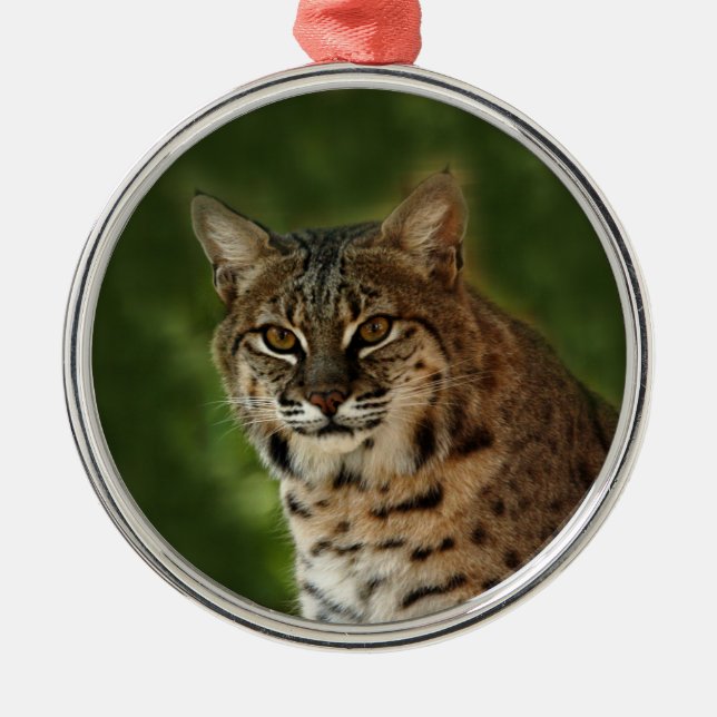 Bobcat Christmas Ornament (Front)